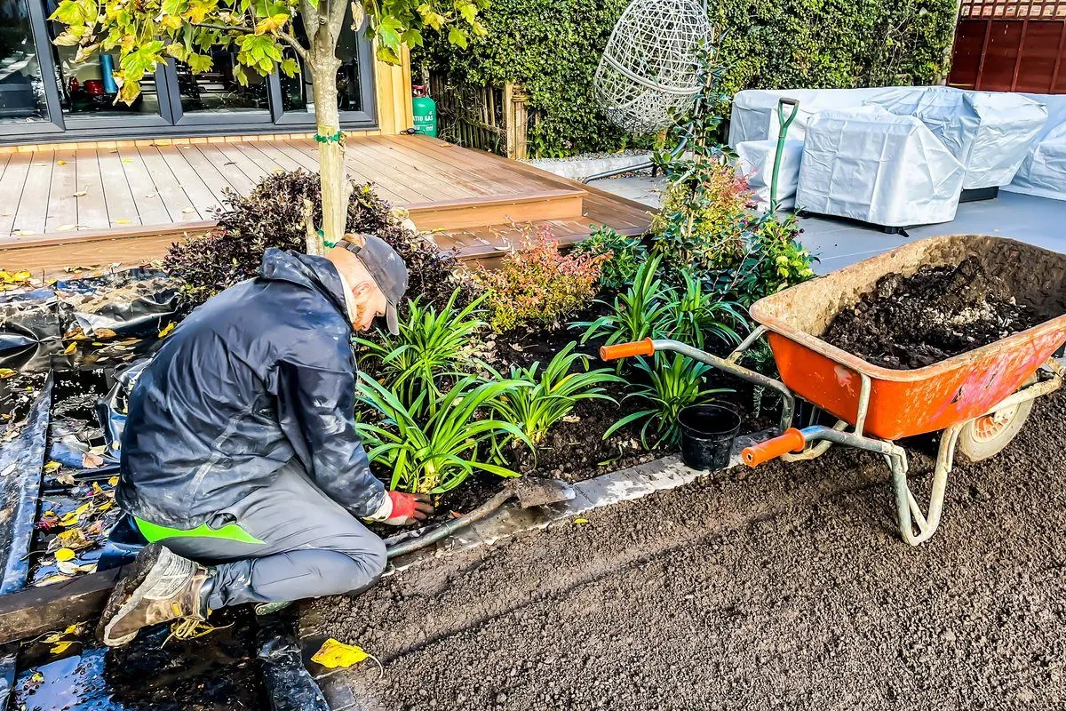 Tom Rudd planting shrubs and lilies into a new bed beside composite decking