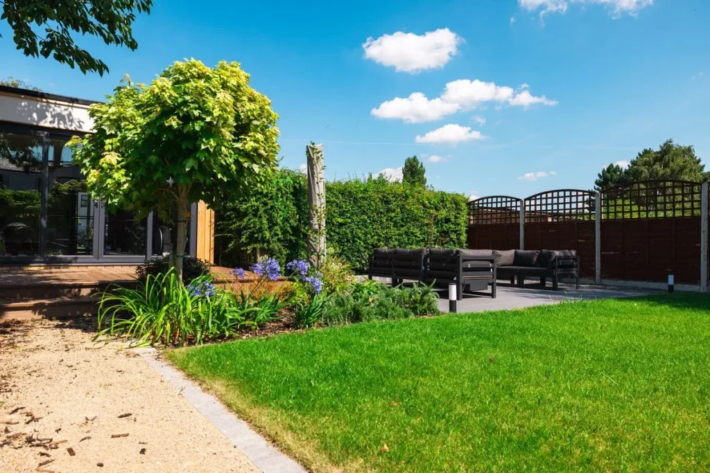 Lawn and planted border with agapanthus beside a lattice fence and a grey porcelain patio